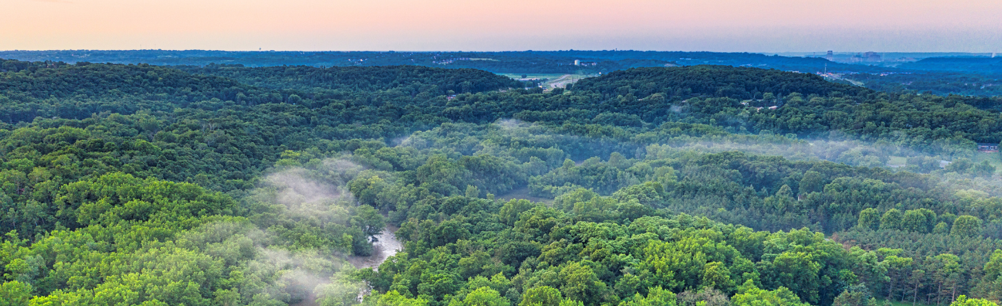Mang lại bầu không khí trong lành mỗi ngày